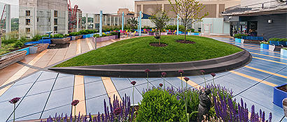 rooftop-garden