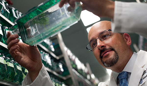 researcher in his lab