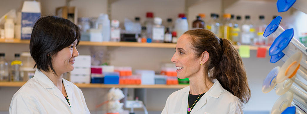 Liying Chen, PhD, and Kimberly Stegmaier, MD in a lab